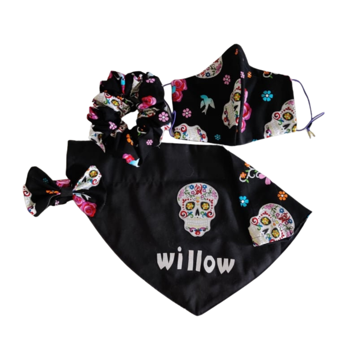 Calavera for Pets | Set Collar Slip-On Dog Bandanas Reversible